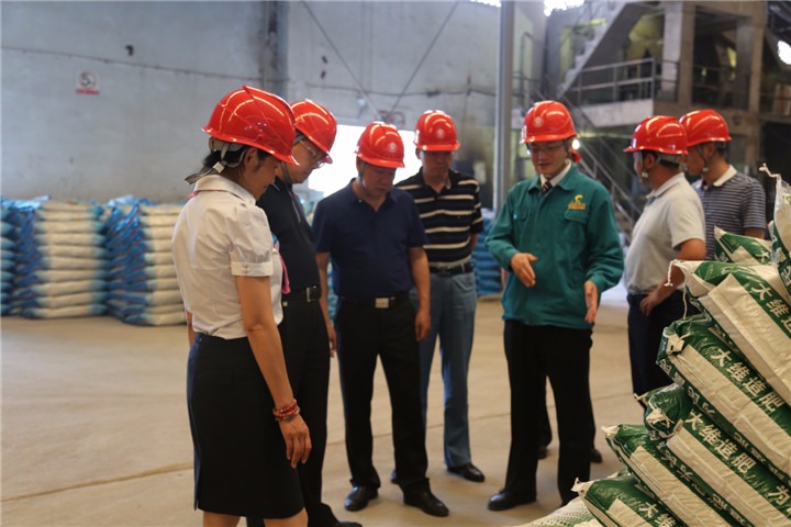 耿克明、、、高建嵩到大维肥业等企业调研