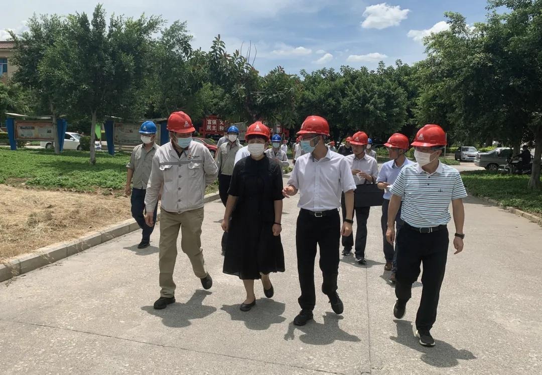 红河州州委副书记、、、州长罗萍赴云南解化清洁能源开发有限公司解化化工分公司开展清静生产专项调研