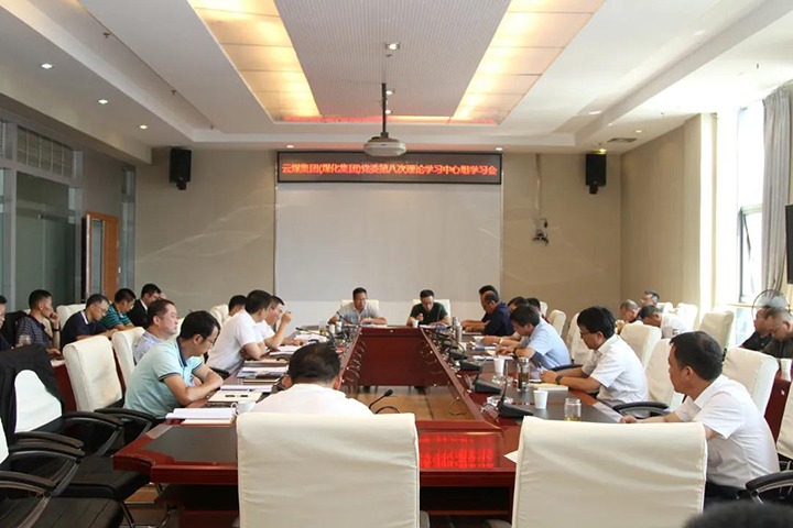 云煤（太阳集团城网站2018）集团党委开展2021年第八次党委理论学习中心组集中学习