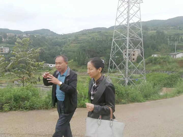 集团党委委员、、财务总监莫晓丹一行到羊场口煤业温顺源煤矿开展煤矿项目建设事情专项调研