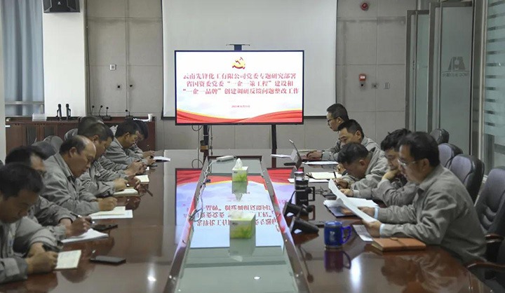先锋化工党委专题研究安排省国资委党委“一企一策工程”建设和“一企一品牌”建设调研反馈问题整改事情