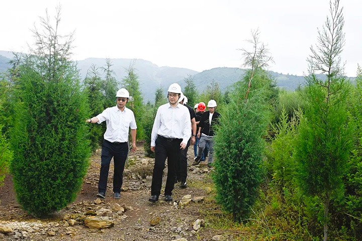 自然资源部矿产资源；ぜ嗍铀臼褂眉嗍哟Ω贝Τに镉莱恍械较确婷阂档餮新躺笊浇ㄉ枋虑