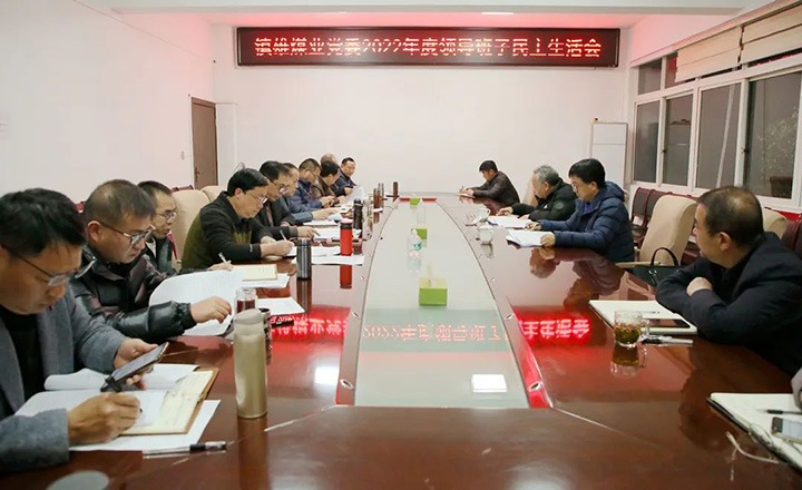 集团党委委员、、副总司理施从伟到镇雄煤业公司指导年度民主生涯会