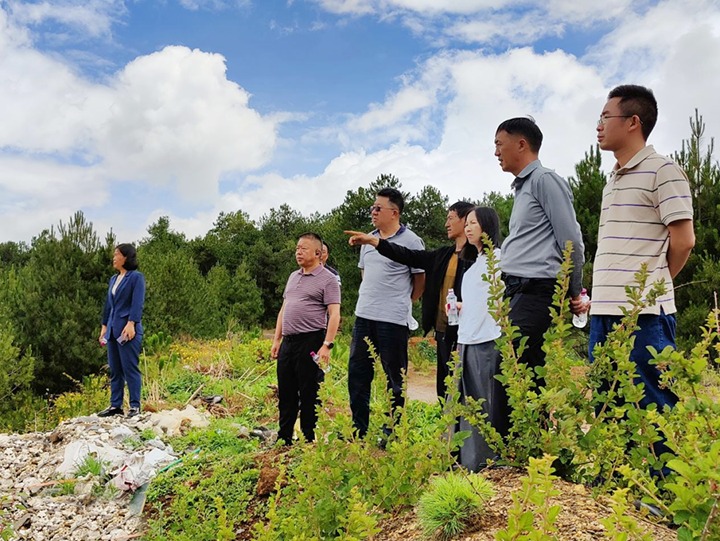 【主题教育】云煤（太阳集团城网站2018）集团专职外部董事寸延峰，，集团党委委员、、、财务总监莫晓丹到马厂煤矿、、、汉家厂煤矿、、、竹麻地煤矿开展主题教育调研