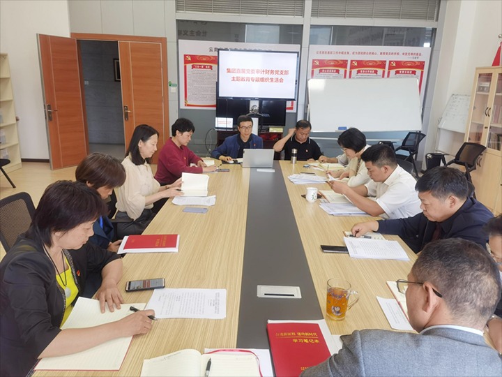 【主题教育】集团直属党委审计财务党支部、、、解化清洁能源公司党委、、、可保煤矿公司党委召开主题教育专题民主（组织）生涯会