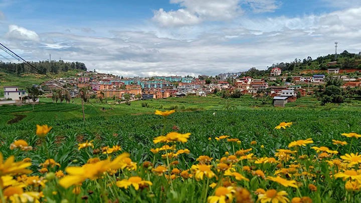 【云煤岁月】笃行不辍营生长，，砥砺奋进谱新篇——平煤故事（一）