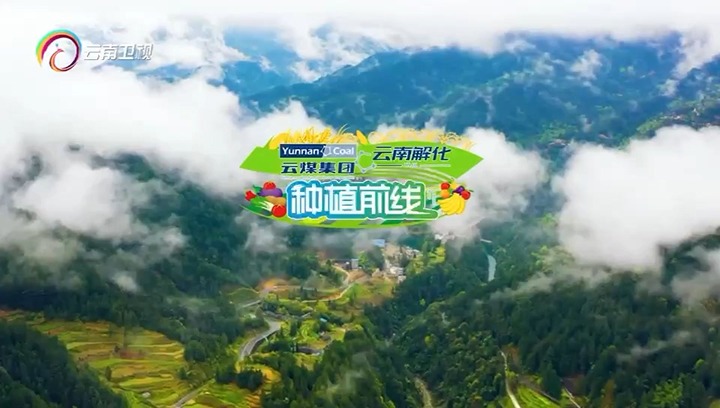 【聚焦云煤】云南卫视专题播报：：：护航春耕 解化领先