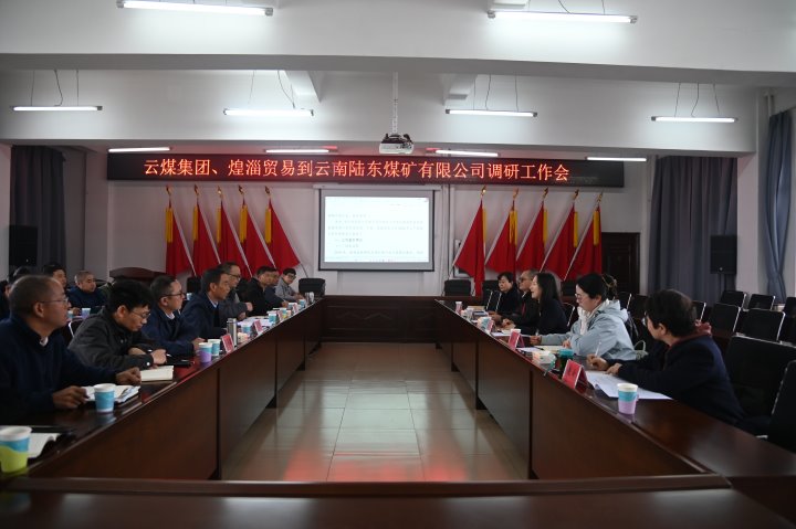 云煤集团党委委员、财务总监莫晓丹一行到陆东煤矿调研指导事情