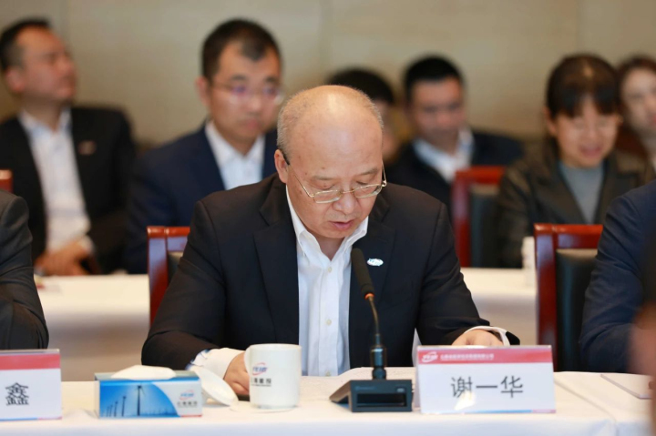 能投集团总裁、、副董事长谢一华讲话.jpg